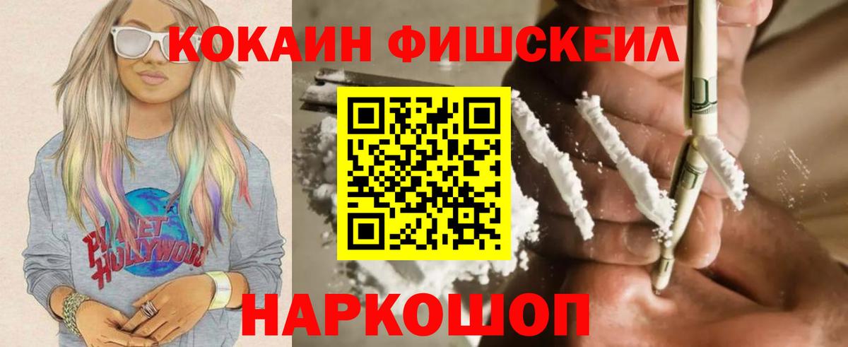 Кокаин FishScale  Вход с VPN  Ялуторовск  Cocaine FishScale 