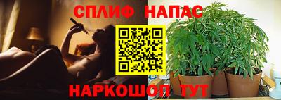 кокс Нарткала