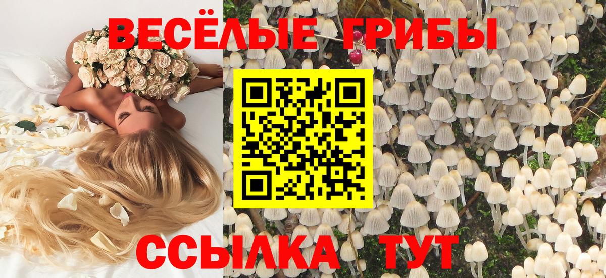 Псилоцибиновые грибы Cubensis Ялуторовск